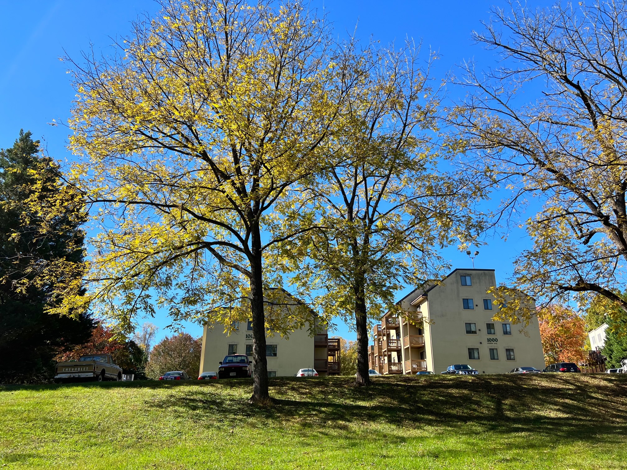 1000 Linden Avenue